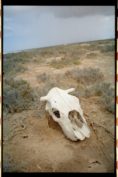 pocah_film_djerba_16
